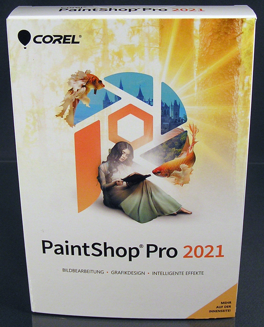 corel paint pro 2021